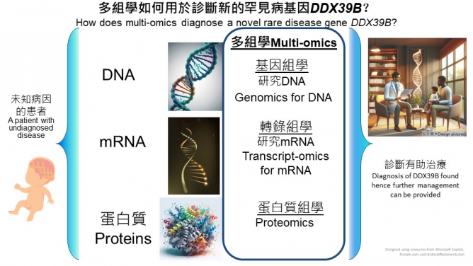 這項研究利用多組學方法，可在一次分析中廣泛涵蓋多種人類疾病，揭示疾病的潛在遺傳因素，從而研發新的篩查、診斷、預防和治療策略。
 